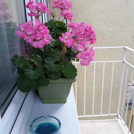 Zenit Apartman Мако Экстерьер фото